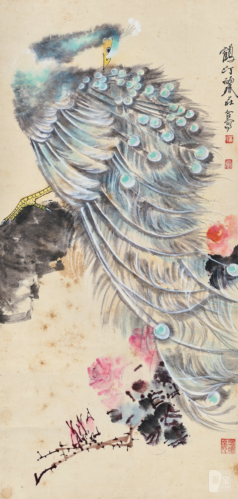 蔡鹤汀、丽庄 孔雀图